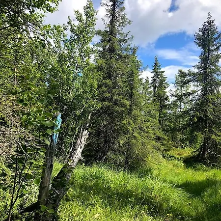 Hos Blafjelldal, I Valdres *