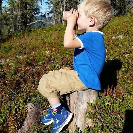 Hos Blafjelldal, I Valdres * Bagn